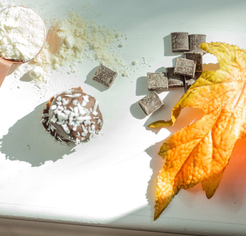 GUILT FREE CHOCOLATE PROTEIN TRUFFELS