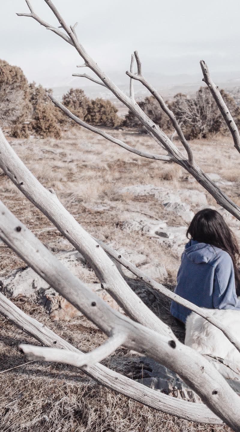 3 STEPS TO WELLNESS | COVID
