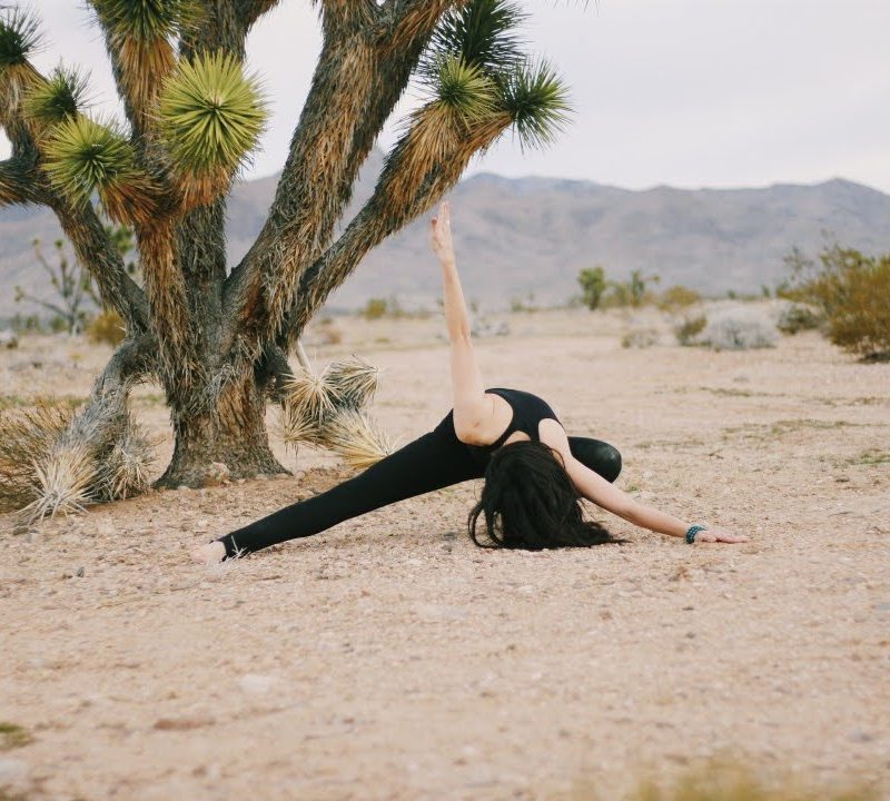 Joshua Trees | Joshua Tree National Park