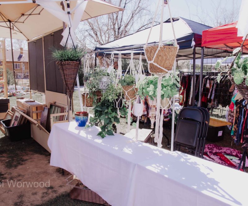3 Local Businesses | St George