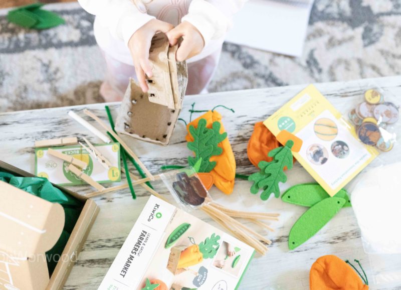 simple Homeschool with kiwi co | other homeschool resources