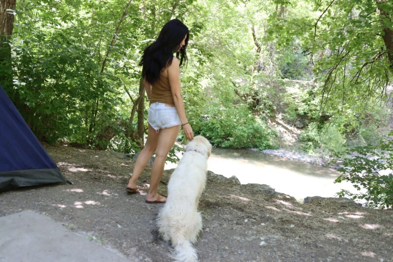 Dog Friendly Camp Sites | Utah Camping