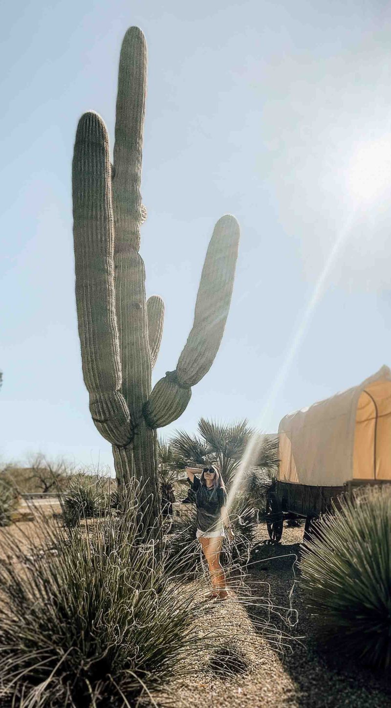 RV Adventures:  Dry camping in the Arizona desert