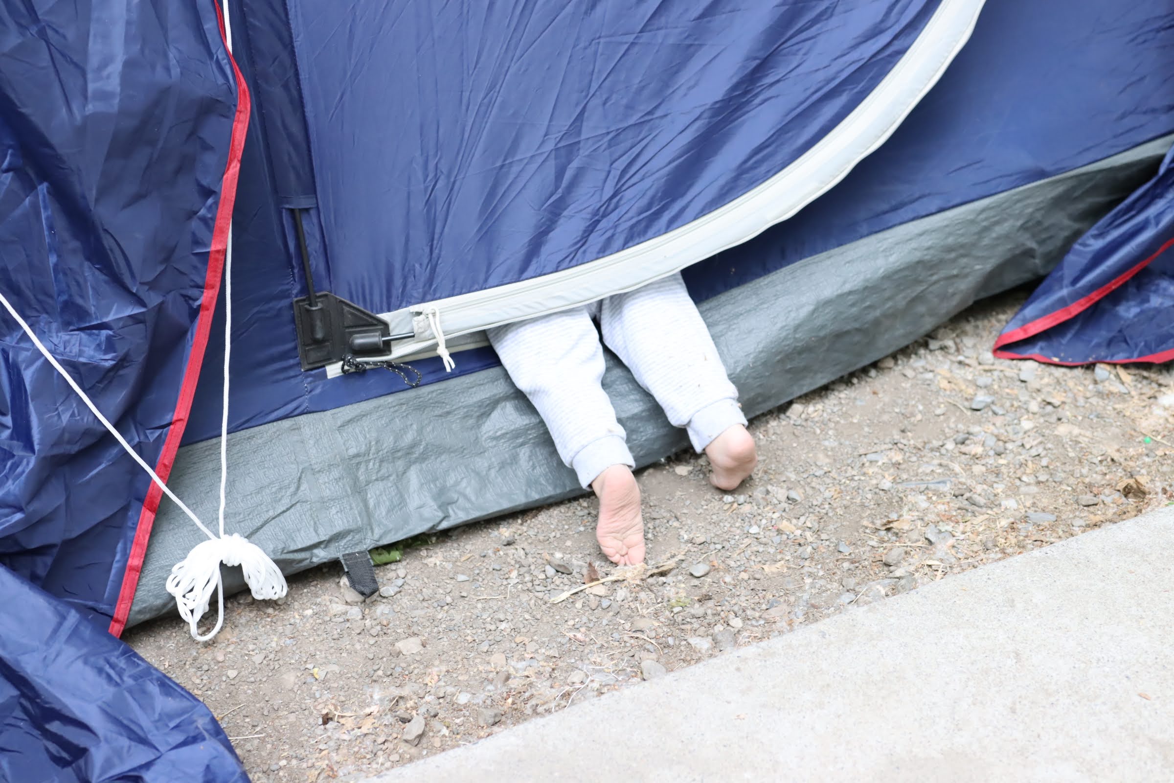 dog friendly camp site